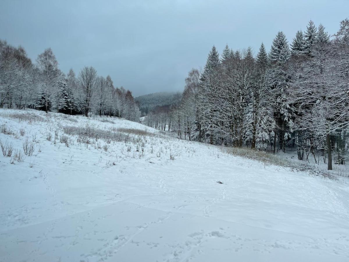 Mlynowiec 4Rest Stronie Śląskie エクステリア 写真