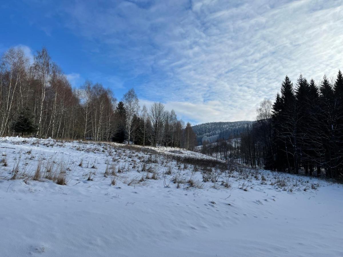 Mlynowiec 4Rest Stronie Śląskie エクステリア 写真